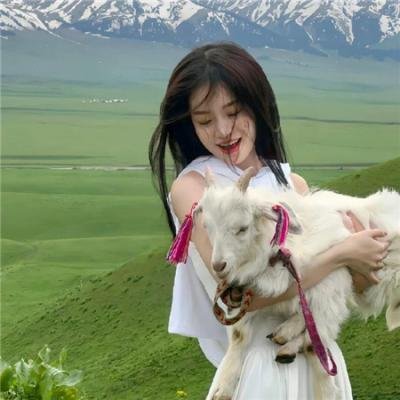 二十美圆
